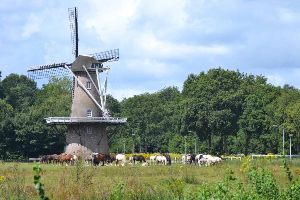 Vossenbelt Villa Gasselte Buitenkant foto